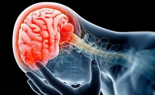 腦瘤不治療存活期 腦瘤不治療存活期