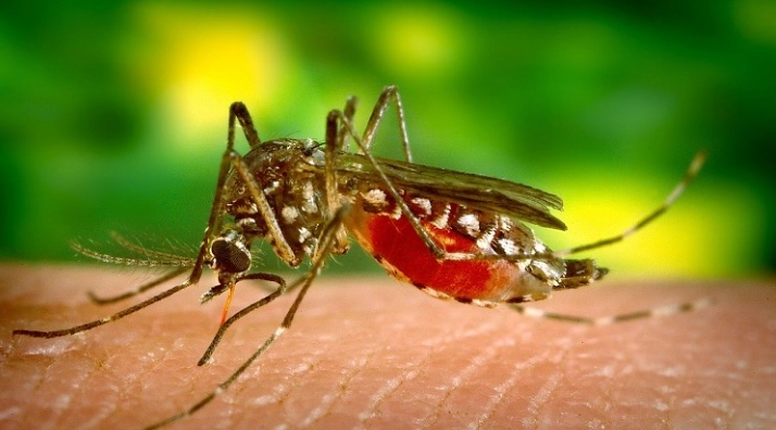 止癢方法 止癢方法