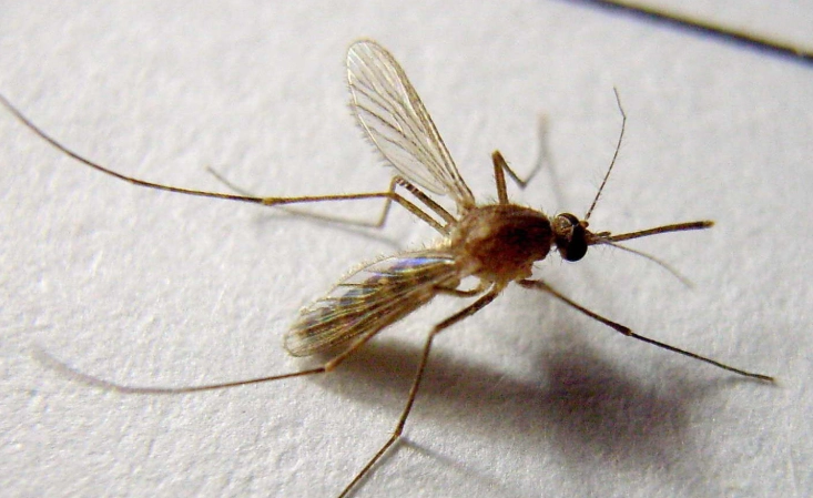 止癢方法 止癢方法