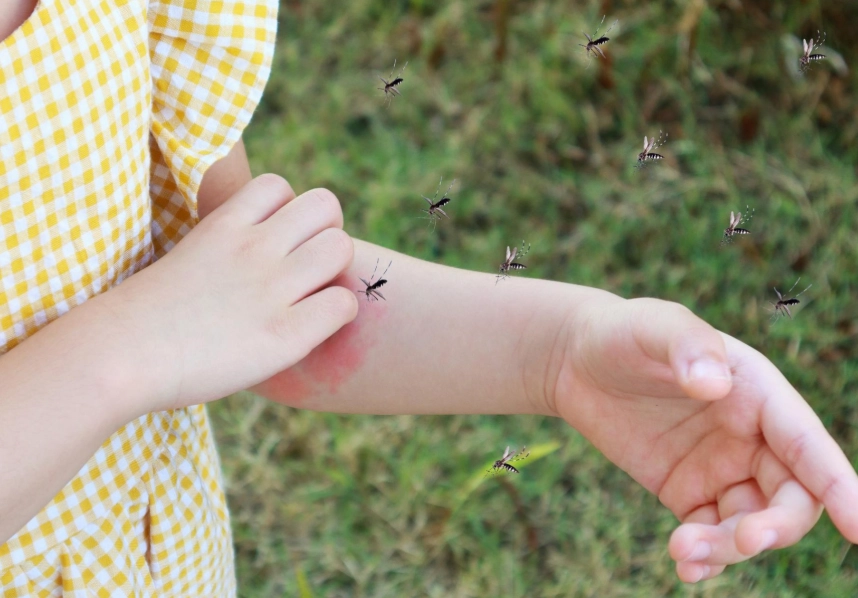 驅蚊植物 驅蚊植物