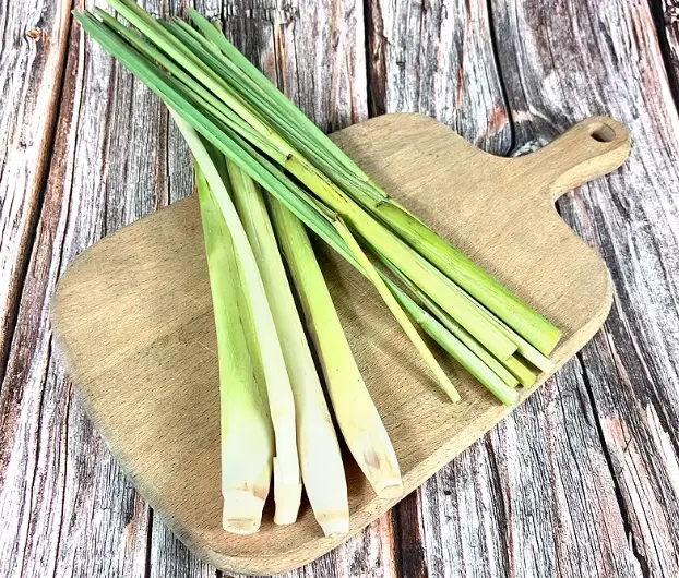 香茅 防蟑螂 香茅 防蟑螂