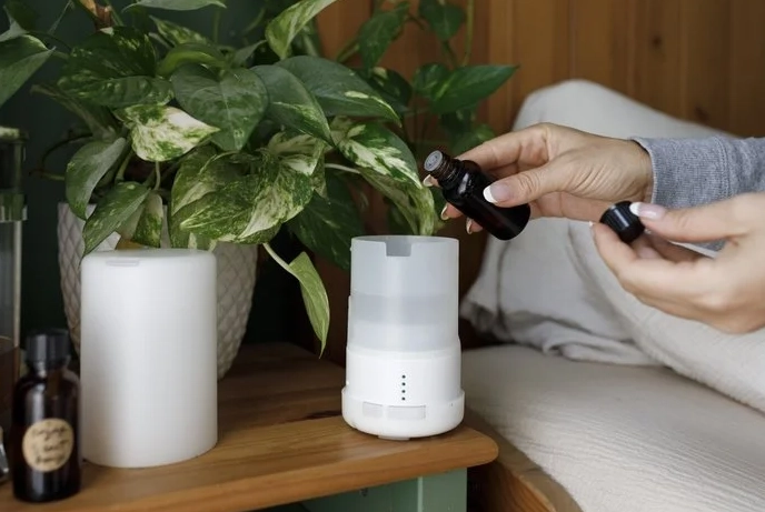 天然驅蚊 天然驅蚊