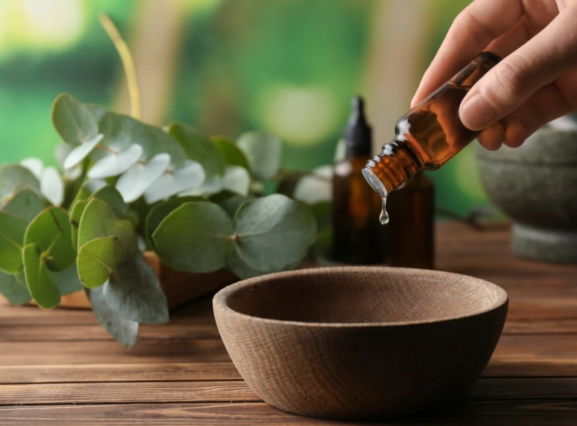 防蚊植物 防蚊植物