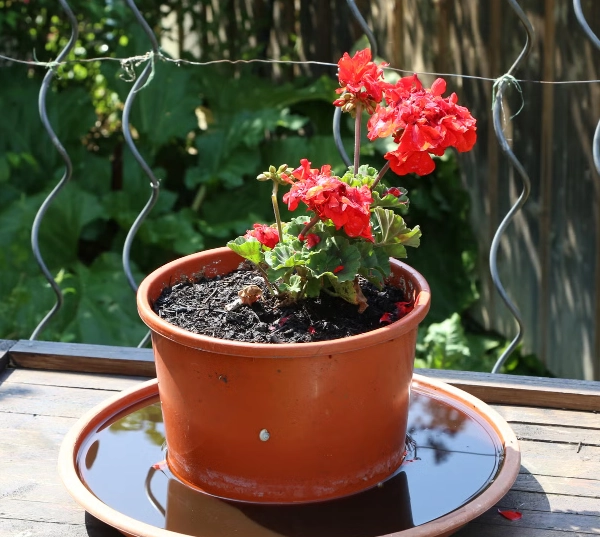 驅蚊器推薦 驅蚊器推薦