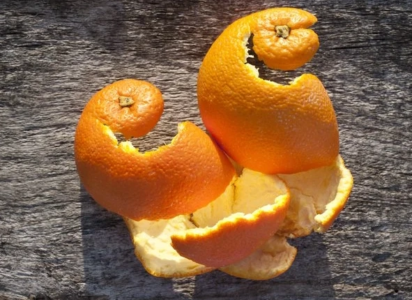 居家防蚊方法 居家防蚊方法