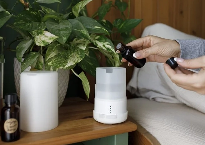 驅蚊器推薦 驅蚊器推薦