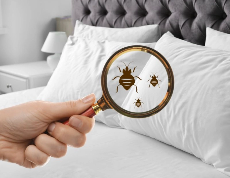 如何預防蟑螂入侵