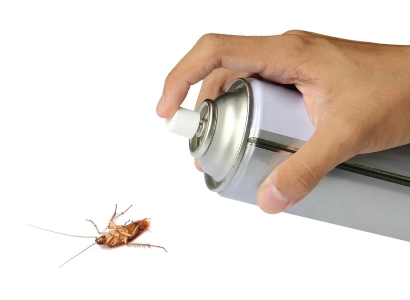 自製蟑螂藥 自製蟑螂藥