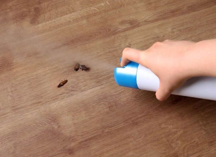 蟑螂藥推薦 蟑螂藥推薦