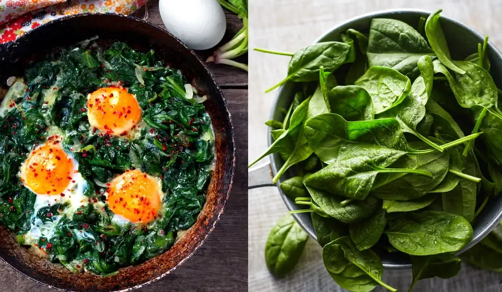 免疫力食物 免疫力食物