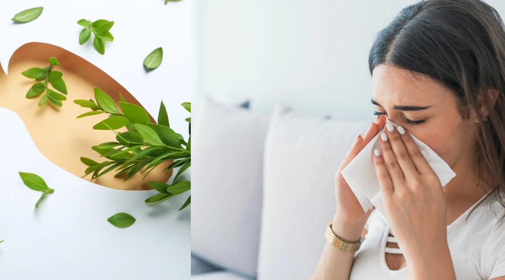 免疫力下降過敏 免疫力下降過敏