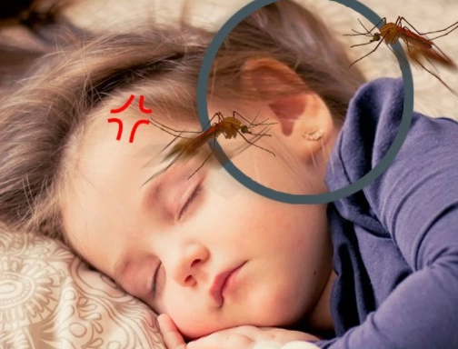 聲音驅蚊方法 聲音驅蚊方法