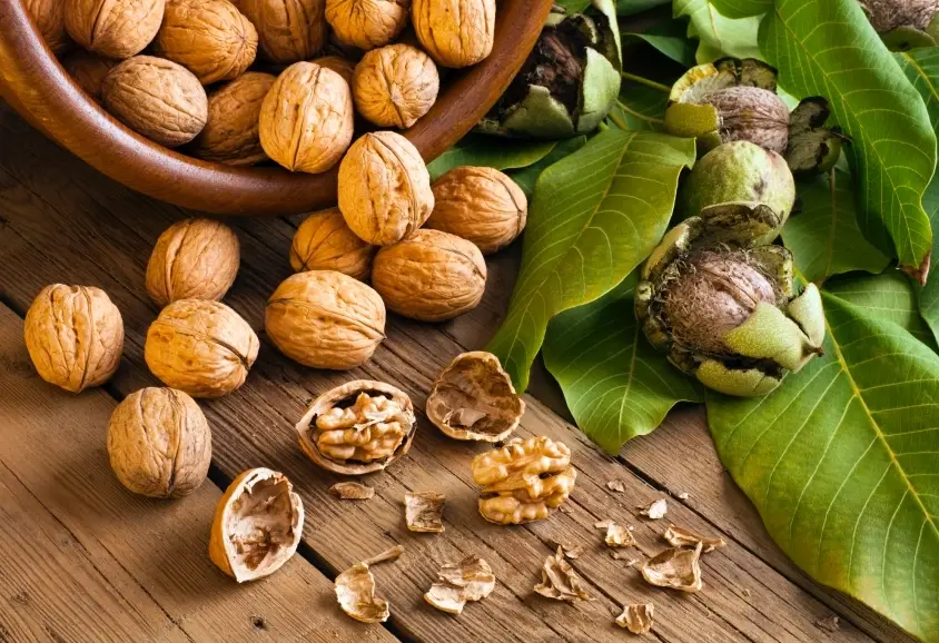 增強皮膚抵抗力飲食