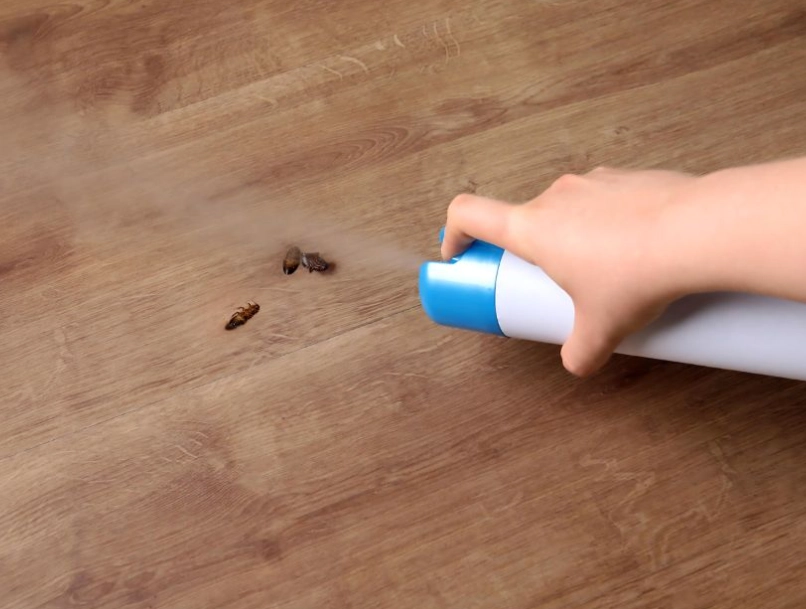 天然除蟑螂方法