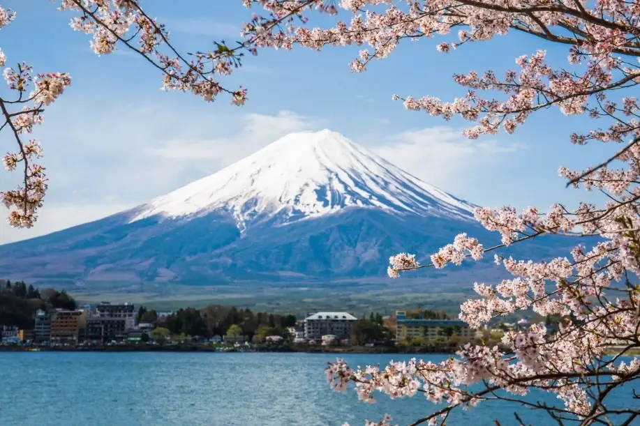 河口湖一日遊