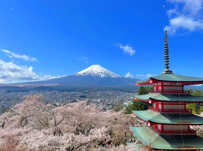 東京到河口湖交通