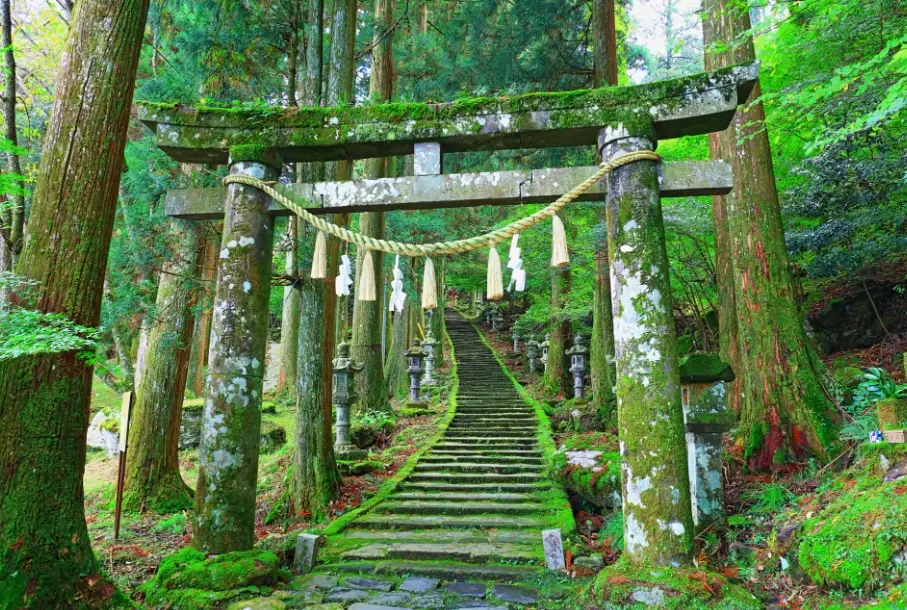 博多天神住宿