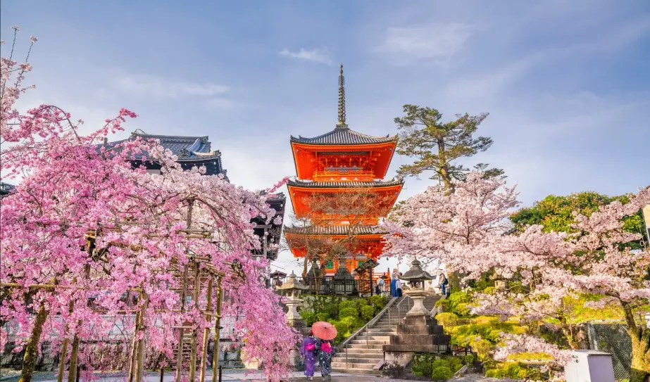 京都一日遊