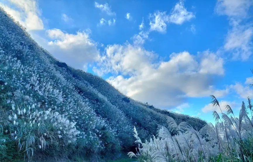新北景點 新北景點