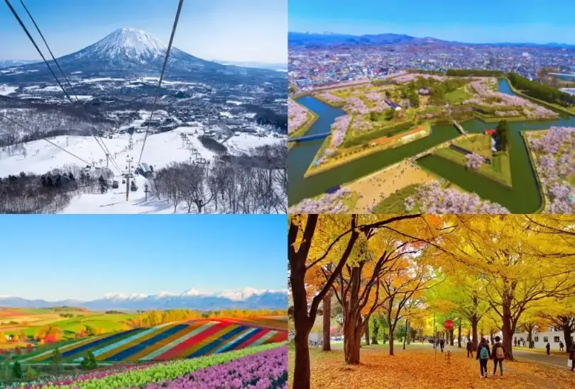 北海道自駕