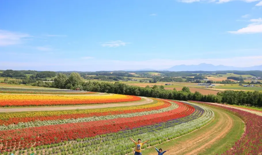 北海道自駕