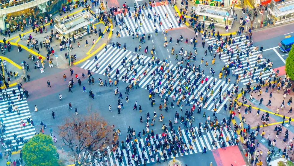 東京必去：10個實地走訪的必排景點與交通路線