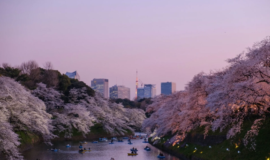 東京自由行行程 東京自由行行程