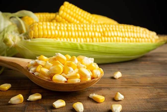 玉米料理