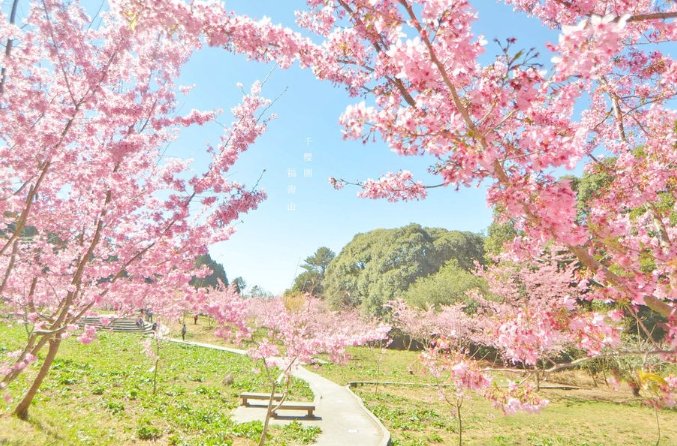 福壽山農場