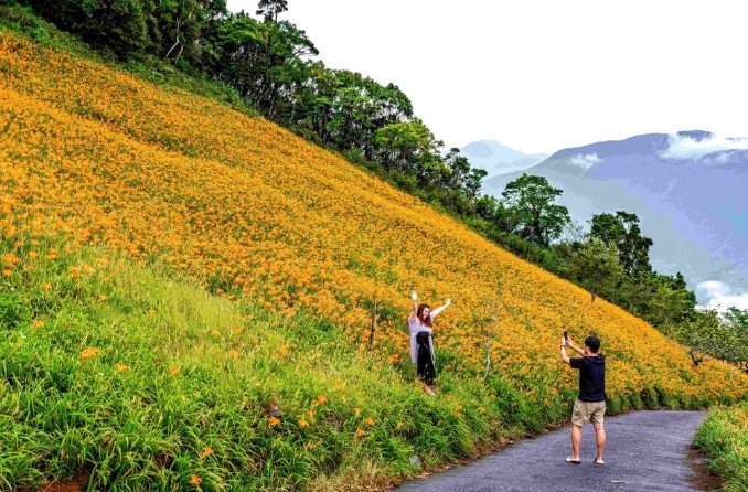 太麻里金針山接駁車時刻表 太麻里金針山接駁車時刻表
