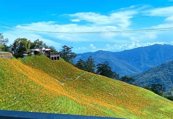 太麻里接駁車費用 太麻里接駁車費用