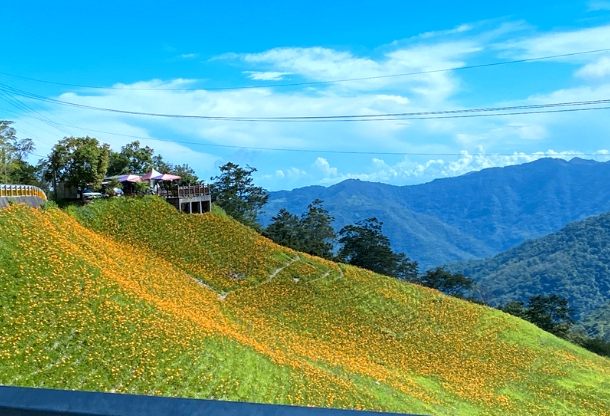 太麻里交通指南 太麻里交通指南