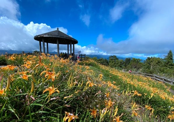太麻里交通指南 太麻里交通指南