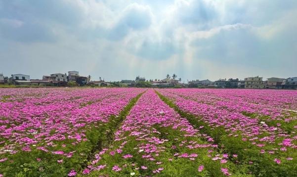 杉林區旅遊景點