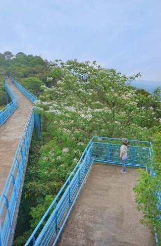 三灣天空步道交通 三灣天空步道交通