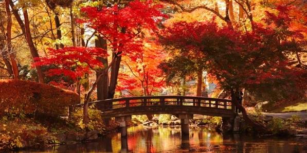 盛岡秋季旅遊