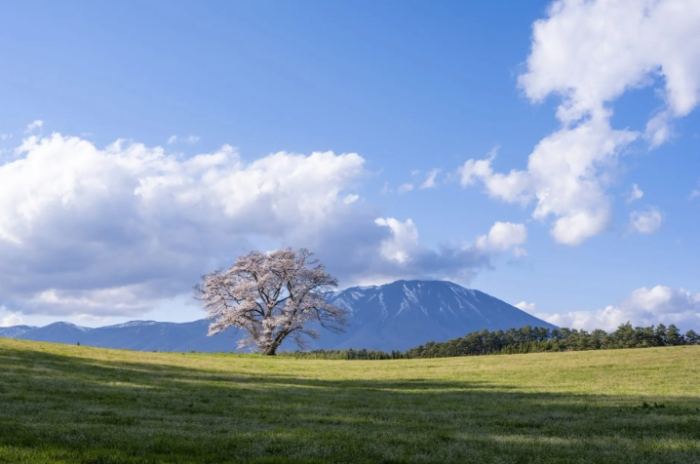 盛岡老街旅遊 盛岡老街旅遊