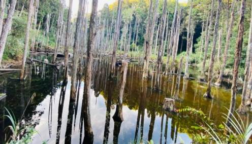 甲仙景點推薦 甲仙景點推薦