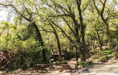 甲仙旅遊攻略 甲仙旅遊攻略