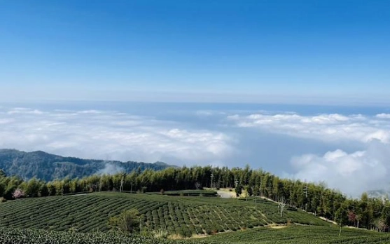 雲林秘境 雲林秘境