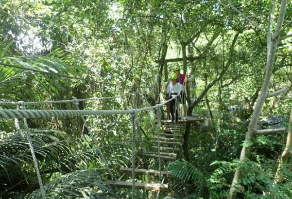 花蓮旅遊景點 花蓮旅遊景點
