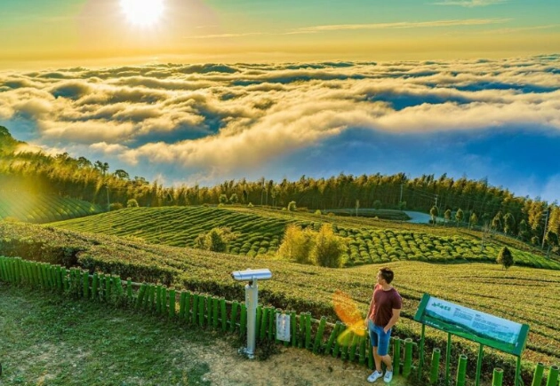 雲林旅行攻略 雲林旅行攻略