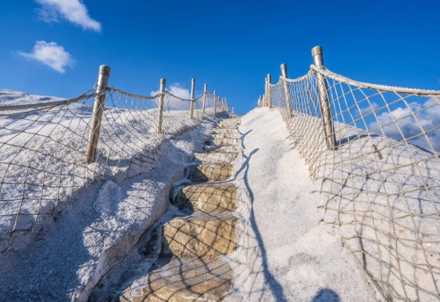 台南一日遊行程