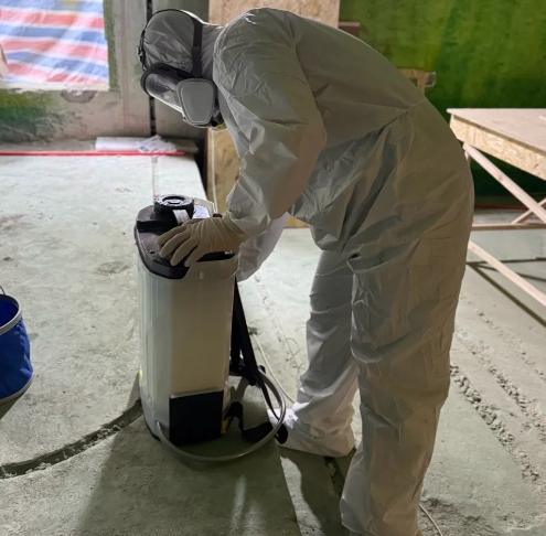 白蟻去除技巧 白蟻去除技巧