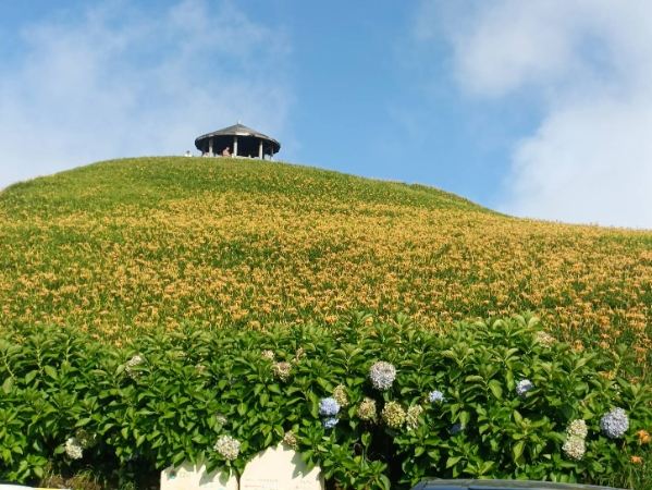 太麻里金針山接駁車 太麻里金針山接駁車