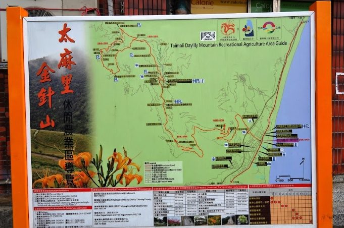 太麻里金針山開車路線 太麻里金針山開車路線