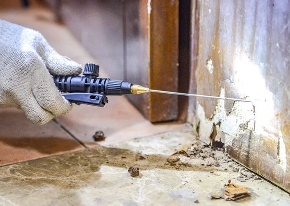 DIY白蚁防治 DIY白蚁防治