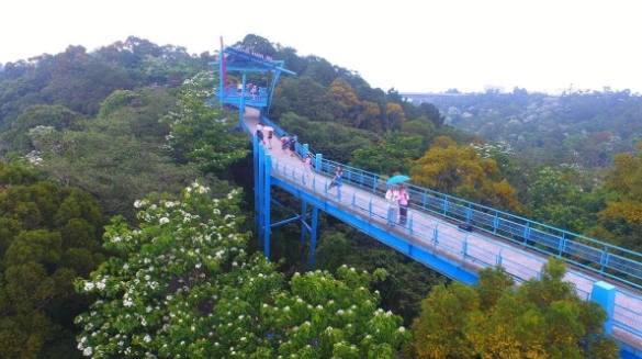 苗栗三灣天空步道 苗栗三灣天空步道