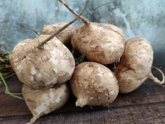 豆薯營養 豆薯營養