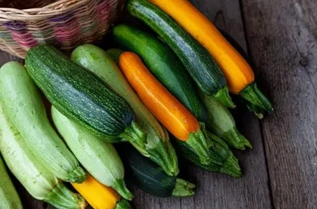 櫛瓜種類比較 櫛瓜種類比較